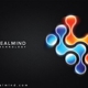 Realmind Technology, Inc