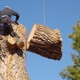 Tree Specialist Tree Service