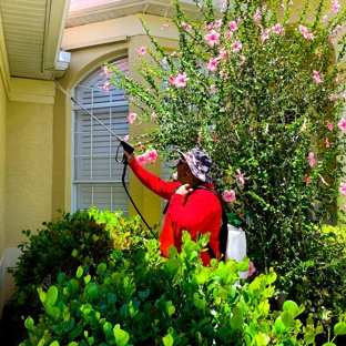 All U Need Pest Control Bonita Springs