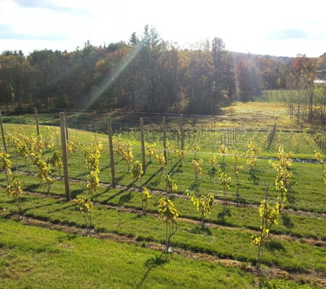 Labelle Winery - Amherst, NH