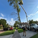 Fricks Tree Service - Tree Service