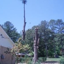 ESBS Tree Services - Tree Service