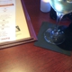 Phoenix City Grille
