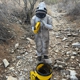 A.S.A.P. Bee Removal