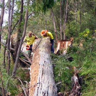 Snowy Monaro Tree Service - Cooma, NSW