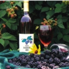 Hill Top Berry Farm & Winery