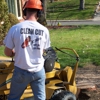 Clean Cut Tree Service gallery