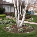 Pacific Coast Landscape of Ventura - Landscape Designers & Consultants