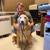 Walker Canine Care gallery