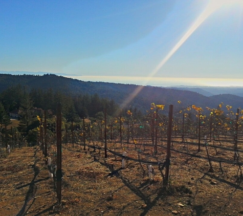 Loma Prieta Winery - Los Gatos, CA