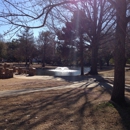 Curtis Park Pool - Swimming Pool Construction