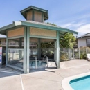 Days Inn by Wyndham Novato/San Francisco - Motels