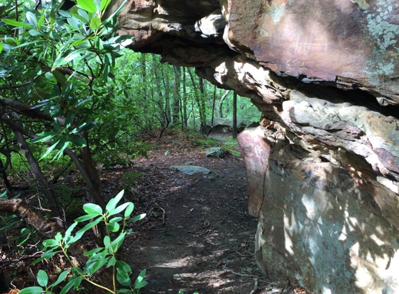 Babcock State Park - Danese, WV