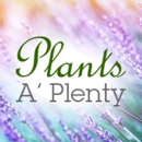 Plants A Plenty - Nurseries-Plants & Trees