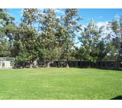 Diamond's Boarding Kennels - Rowville, VIC
