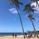 Waimea Bay Beach Park