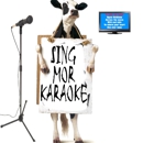 Karaoke Sing Along Systems - Karaoke