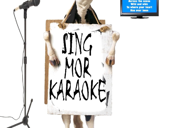 Karaoke Sing Along Systems - Chandler, AZ