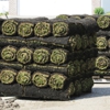 A & N Sod Supply Inc gallery