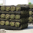 A & N Sod Supply Inc - Landscaping & Lawn Services