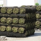 A & N Sod Supply Inc