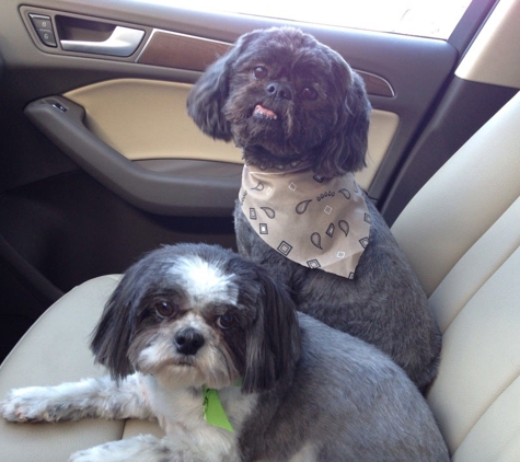 Upscale Pet Grooming & Boarding - North Myrtle Beach, SC