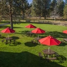 Best Western Ponderosa Lodge