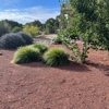 Coyote Landscape Services gallery