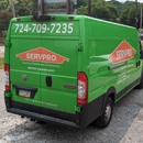 SERVPRO of Beaver County - Mold Remediation