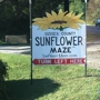 Sussex County Sunflower Maze