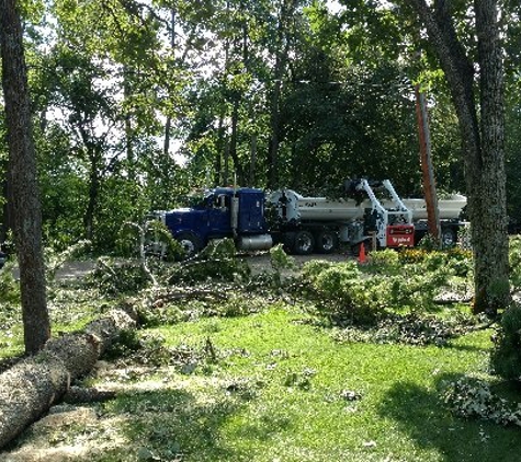 A Cut Above Tree Service - East Peoria, IL