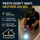 Arcalyde Pest Control