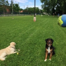 University City Dog Park - Dog Parks