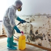 Mold & Restoration Experts gallery