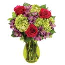 Ashland Addison Florist Co - Florists