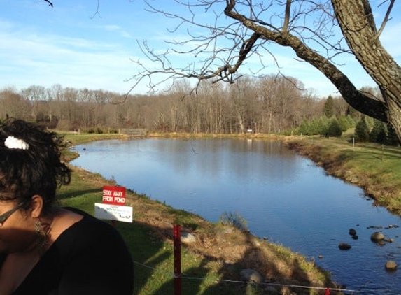 Palmer Christmas Tree Farm - Mount Bethel, PA