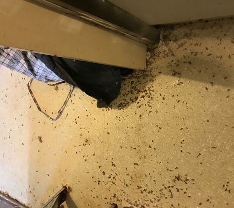 North Vic Pest Control - Swan Hill, VIC