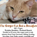 The Ginger Cat Bed & Breakfast - Bed & Breakfast & Inns