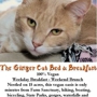 The Ginger Cat Bed & Breakfast