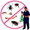 Wynton's Pest Control gallery