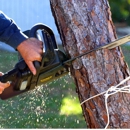 Hard Work Tree Services - Tree Service