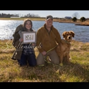 Performance Bred Golden Retrievers - Livestock Breeders