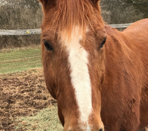 Rosemar Farm - Milford, NJ