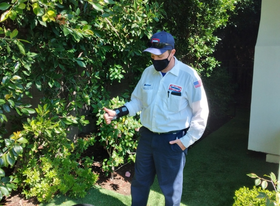 Dewey Pest & Termite Control - San Marcos, CA