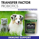 Ramaekers Nutrition - Feed Dealers