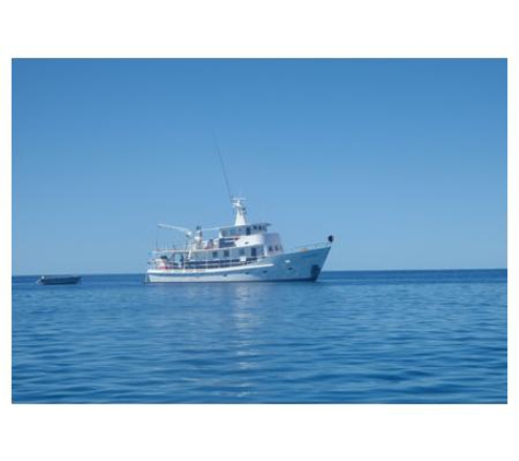 Australiana Charters - Lake Mary, QLD