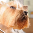Dog's Heaven Pet Boutique - Pet Services