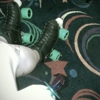 Interskate Roller Rink gallery