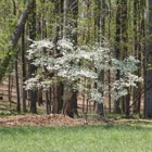 Milton Fields Green Cemetery