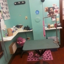 Sittin Pretty Pet Salon - Pet Grooming